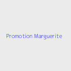 Agence immobiliere Promotion Marguerite 